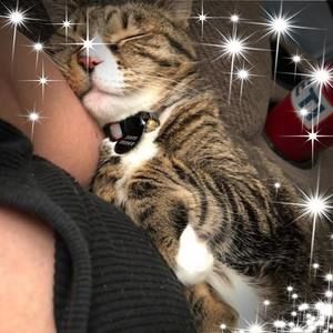 Meet your Posher, Karen